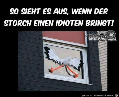 Der Storch kommt.jpg von Nogula auf <a href=