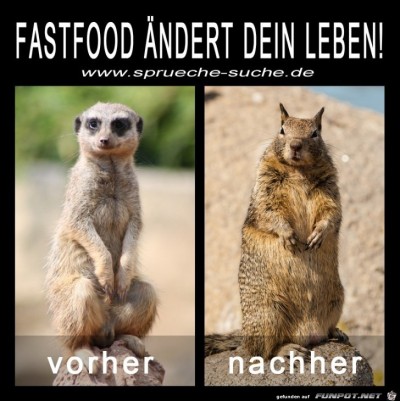 Fastfood.jpg von Edith