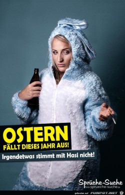 irgendetwas-stimmt-mit-hasi-nicht.jpg von Edith