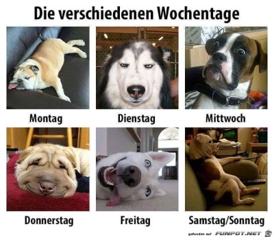 Verschiedene-Wochentage.jpg von Floh