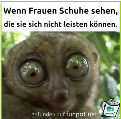 aschuhe.gif von wurm