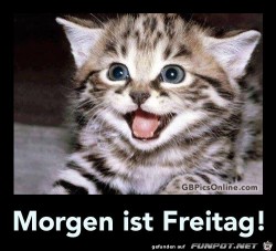 morgen-ist-freitag-.jpg von wurm