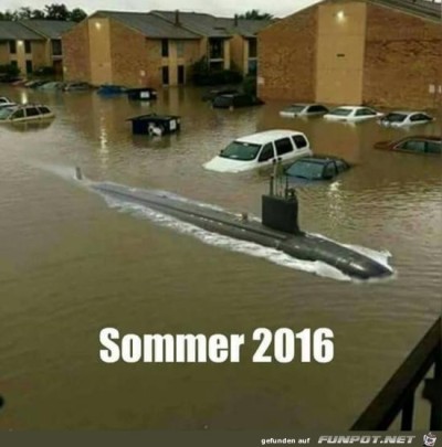 Sommer-2016.jpg von Edith