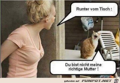 Runter-vom-Tisch.jpg von Floh