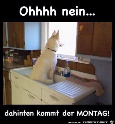 Montag.jpg von Karsten