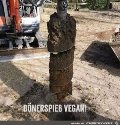 Veganer-Spieß.jpg von Sasse