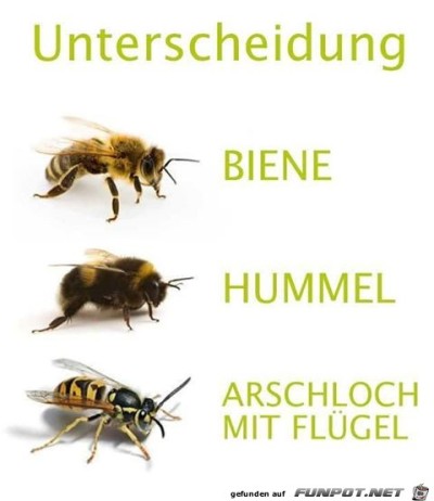 Das-ist-der-Unterschied.jpg von Steffen