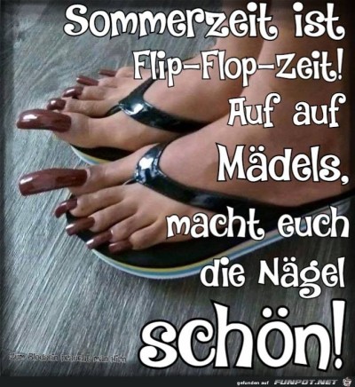 Sommerzeit.jpg von Floh