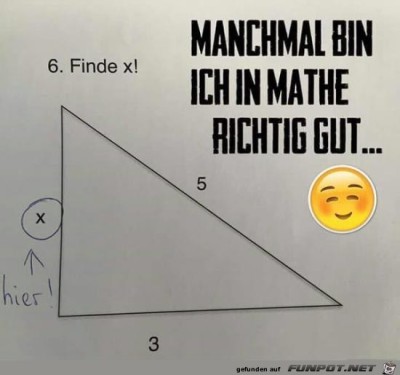 Ein-Mathe-Genie.jpg von Schnurri