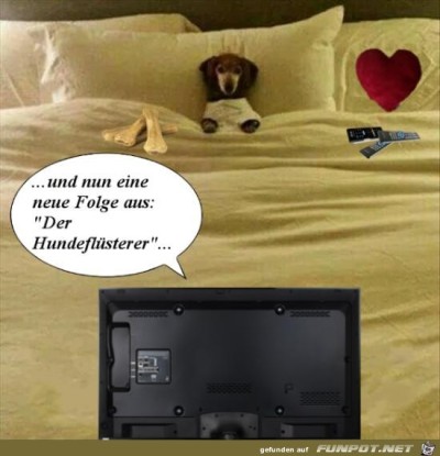 Fernsehabend-im-Bett.jpg von Trudi