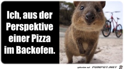 Pizza.jpg von MatteMax