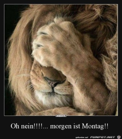 Oh-nein....-morgen-ist-Montag!.jpg von babs