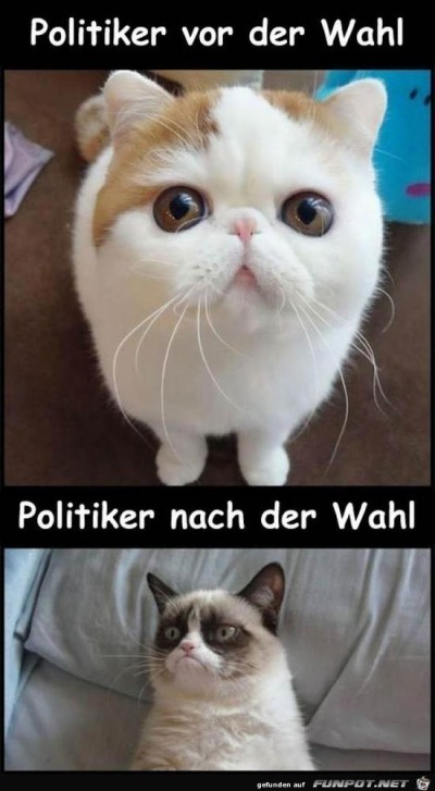 Politiker.......jpg von Edith