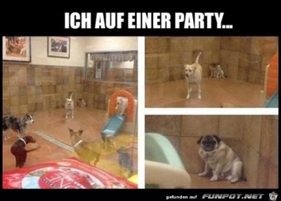 Klasse-Party.jpg von Ben